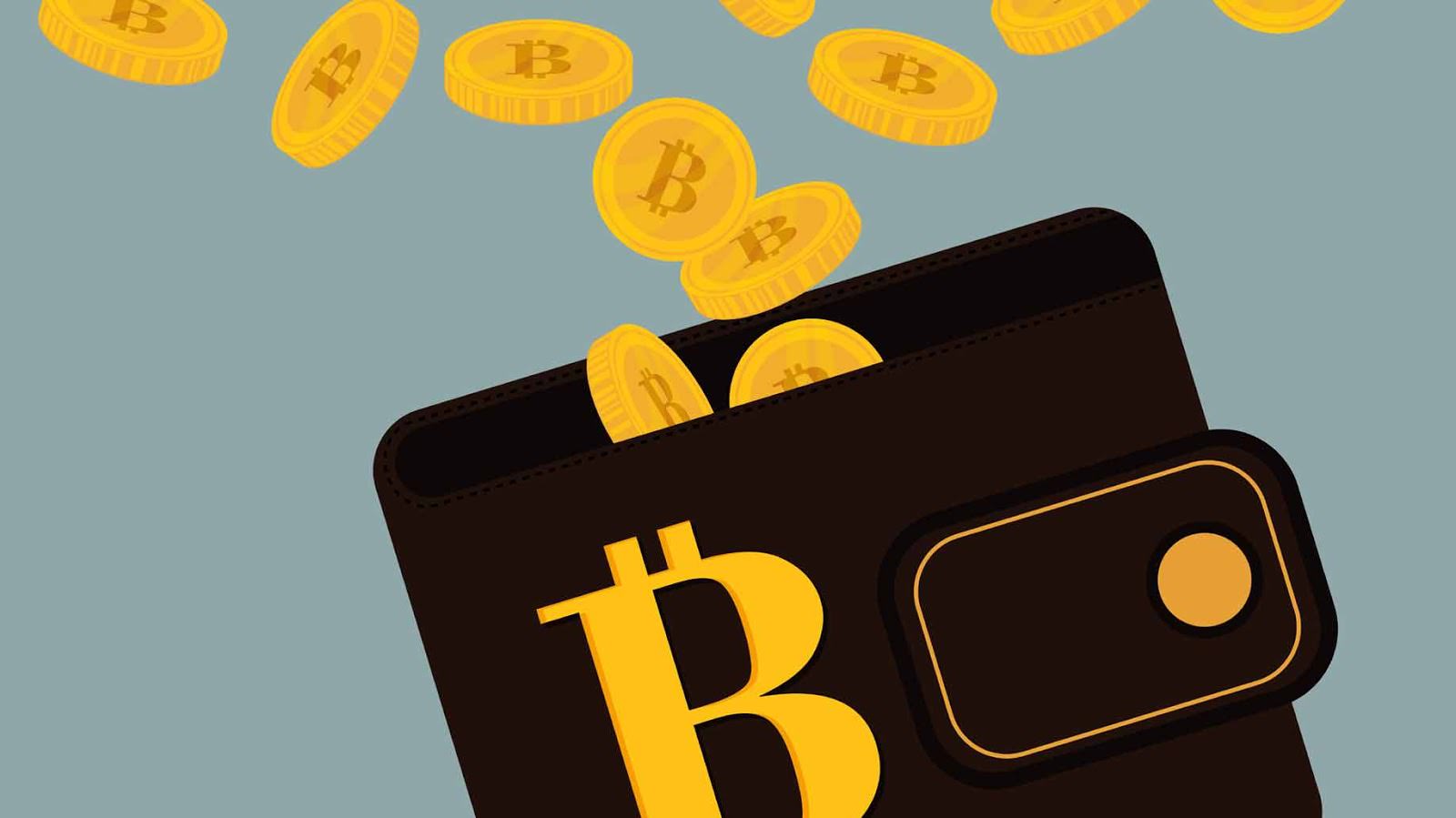 wallet-bitcoin