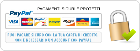 sicurezza pagamento paypal